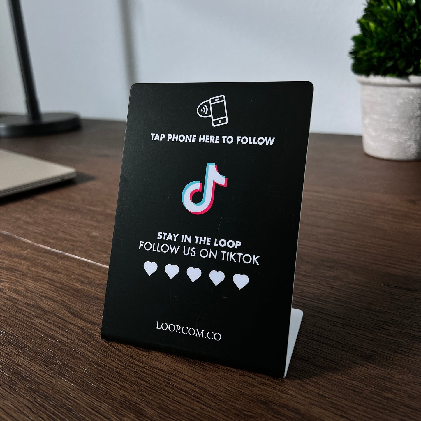 Loop TikTok Stand